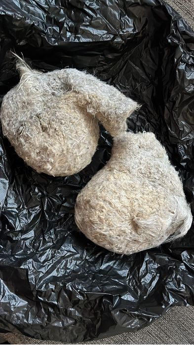 Құрқылтайдың ұясы сатылады, продается гнездо ремеза