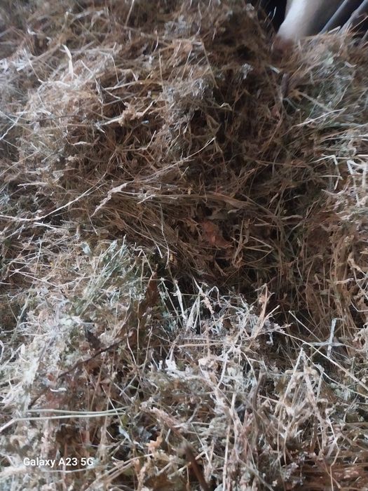 Vand baloti de lucerna