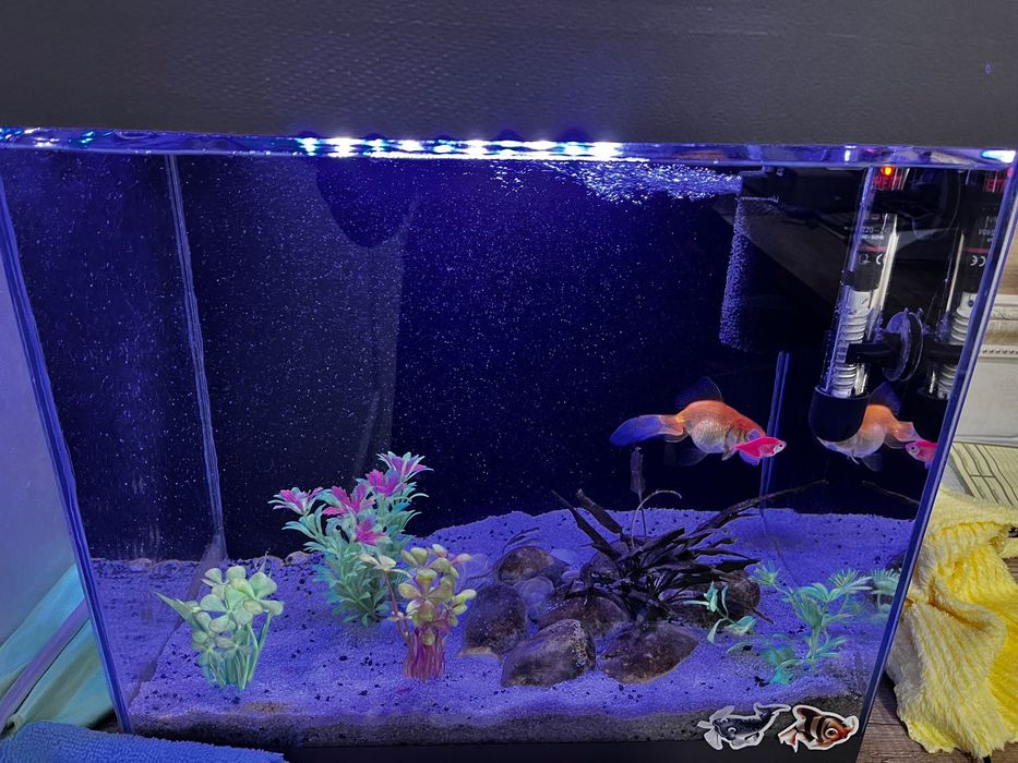 Аквариум для рыб или растений