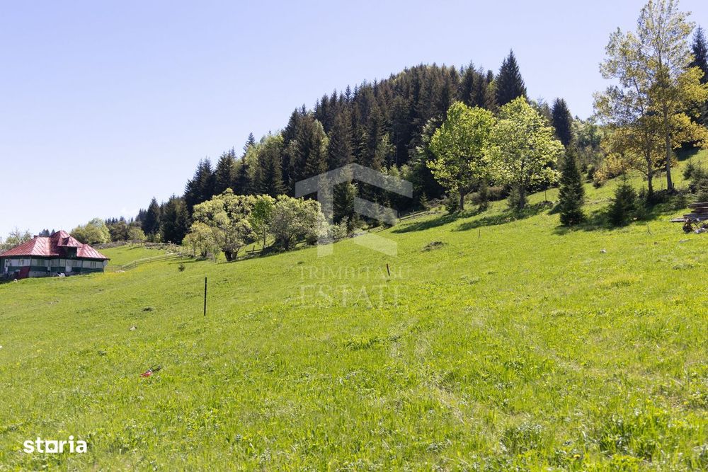 Fundata-Teren de vanzare 15,771 mp intravilan+extravilan+padure