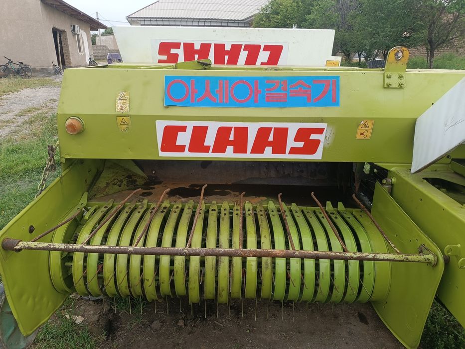 Class markant 65 podborshigi