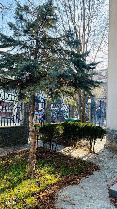 Casa P+1E+M | Zona Compozitori | Birouri