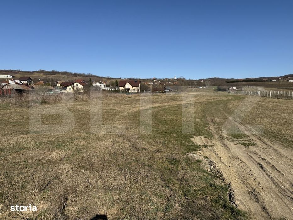 Teren intravilan in localitatea Hereclean in suprafata de 5800 mp