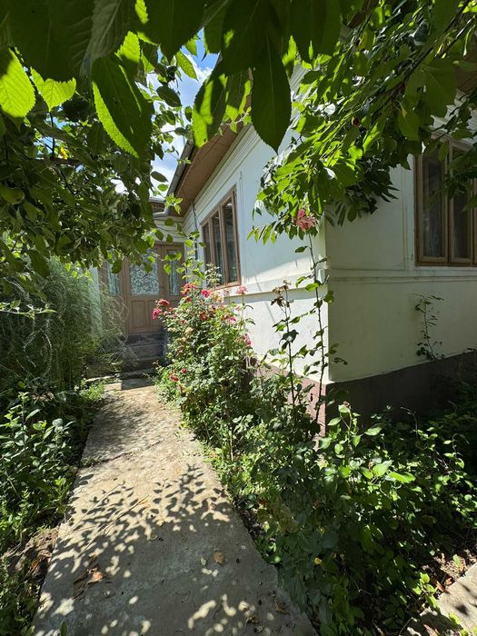 Casa de vanzare in Vizantea Razaseasca