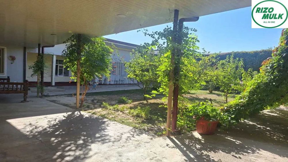 Олмазор туманида файзли ховли сотилади. NR494/21