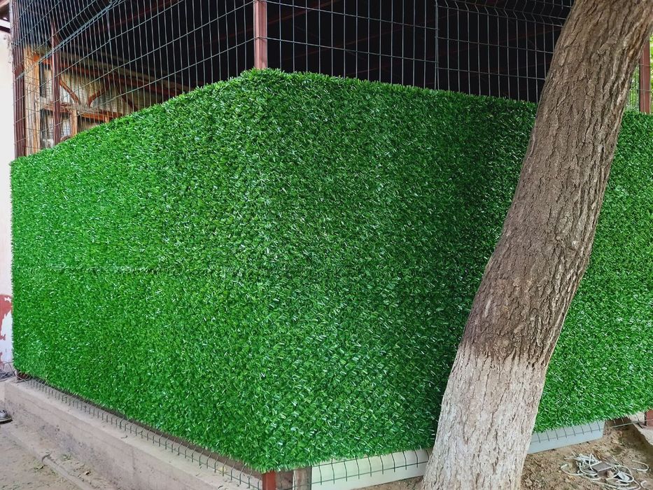 "Ҳовлингизни Безанг, Қўшниларингизни Ҳайратда Қолдиринг!"