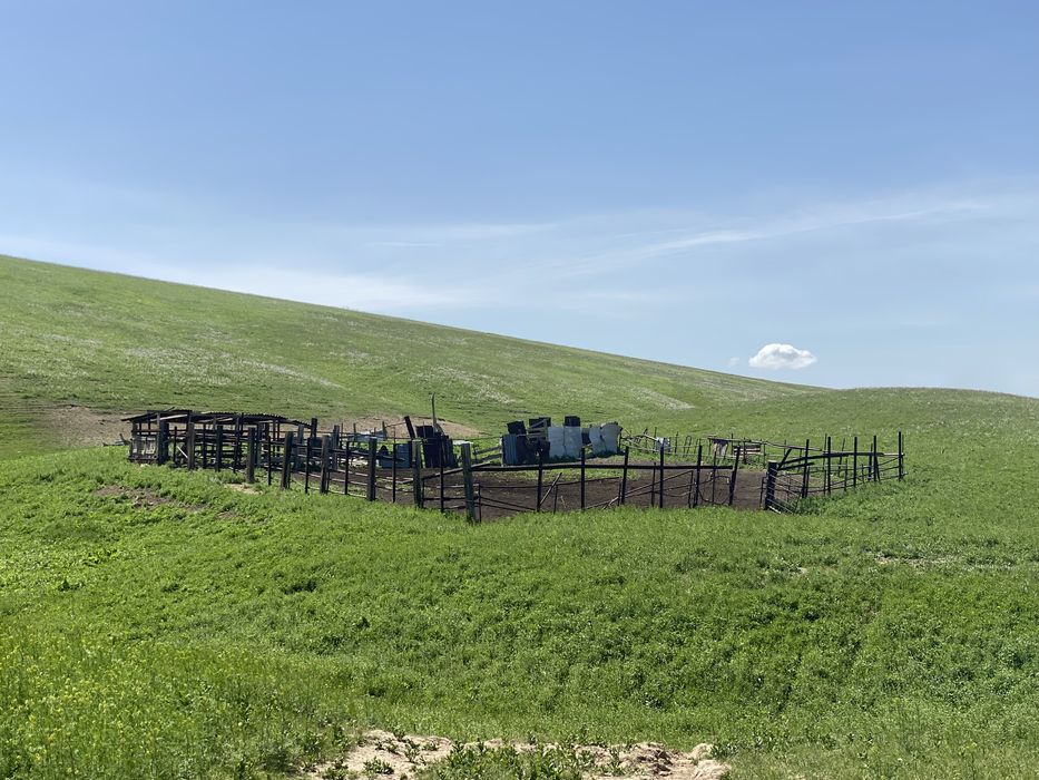 Продам фазенду срочно