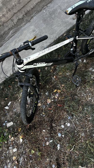 Велосипед Phoenix