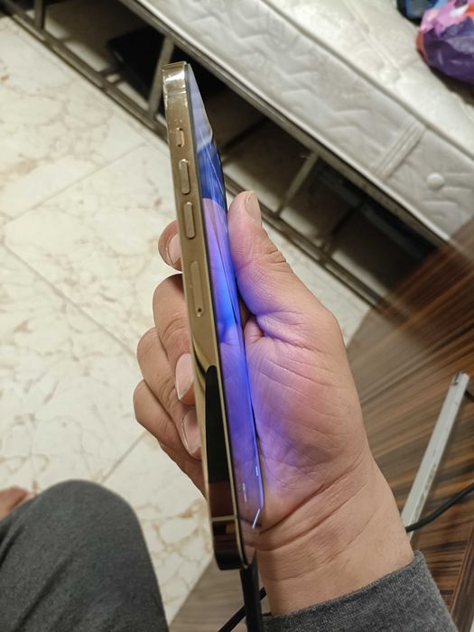 iphone 13 pro max 256