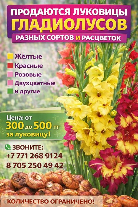 Цветы приносящие радость.