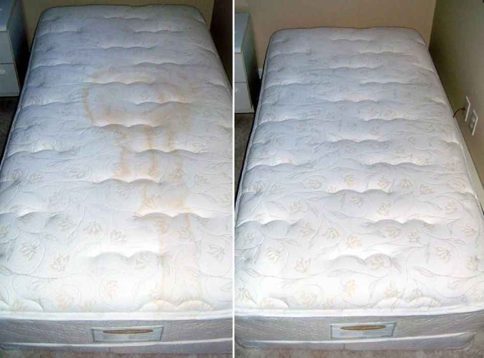 Выездная химчистка   мягкой мебели и ковров по доступной цене