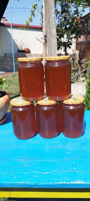 Био пчелен мед от производител