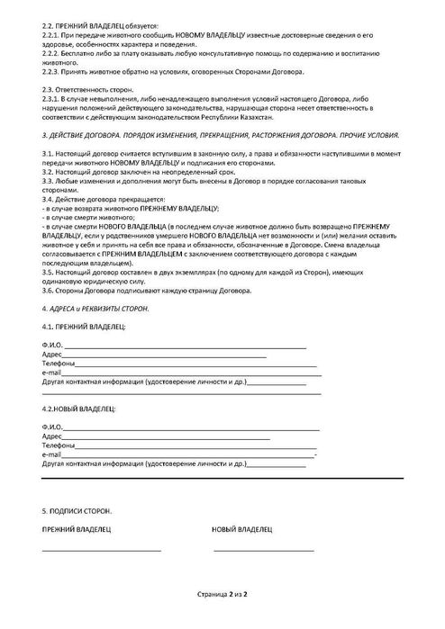 Котёнок девочка возраст 3 месяца ищет дом