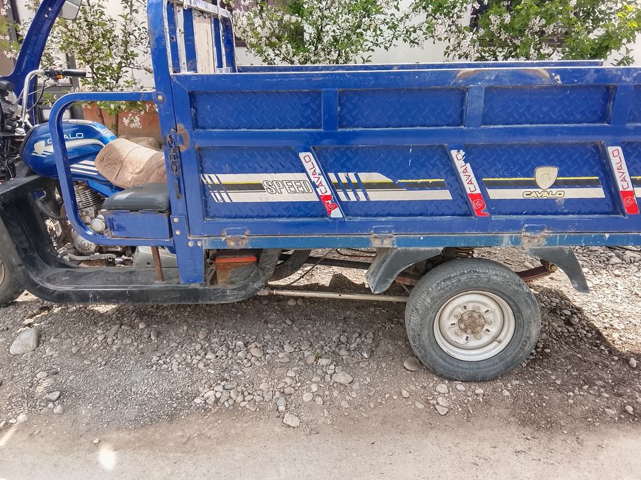 Kuk muravey sotiladi