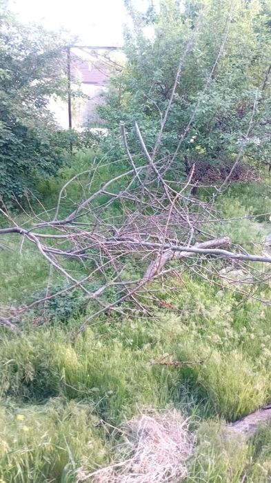 Тегін!!! Жағатын дайын отын!!!