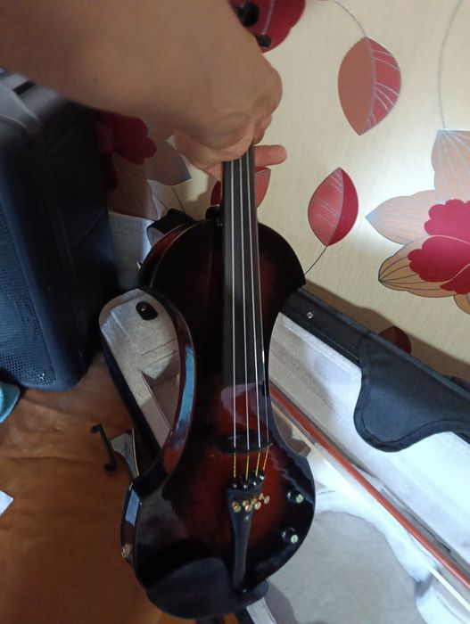 Електрическа цигулка (electric violin)