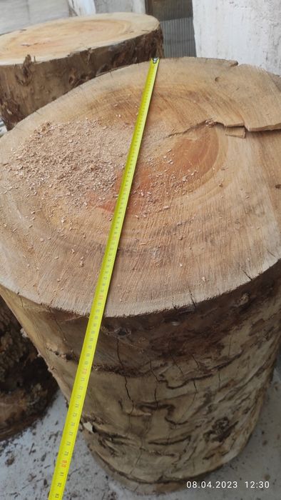 Kunda qassoblaga chinor