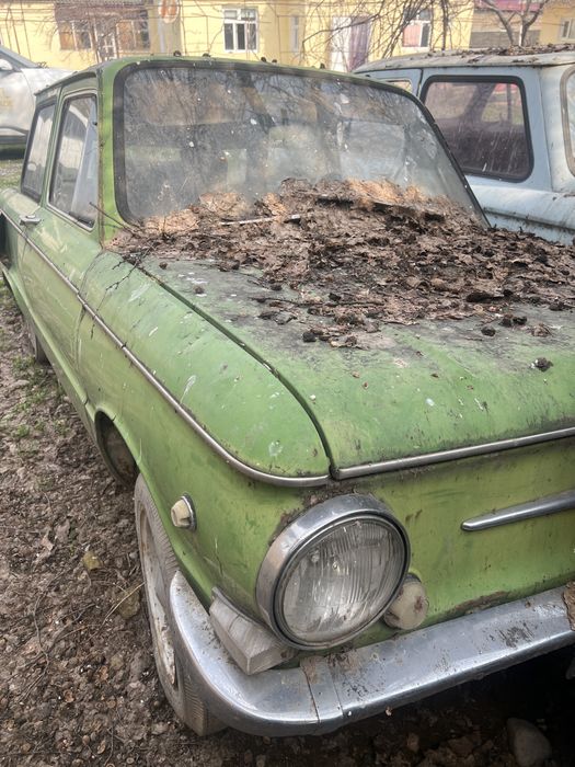 Запорожец на ходу