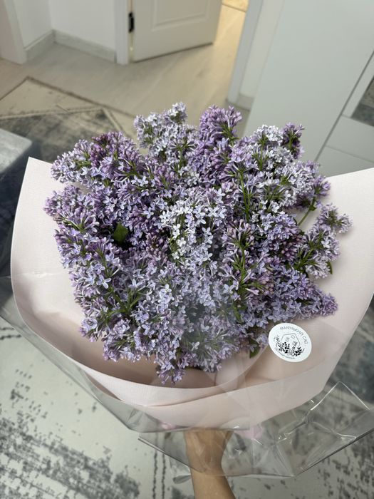 Сирень……………………….