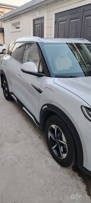 Byd yuan up 2024 nayabrda afitsiyalni dilerdan olingan kraskasi toza