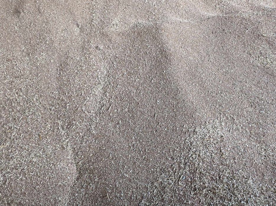 Жито,царевица, слънчоглед и слънчогледово кюспе, шрот