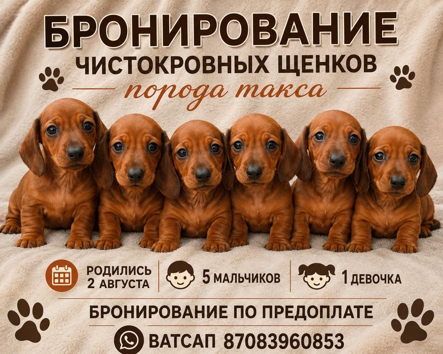 Такса бронирование
