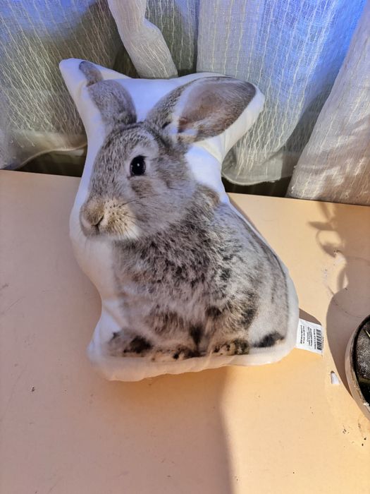 Плюшени играчки