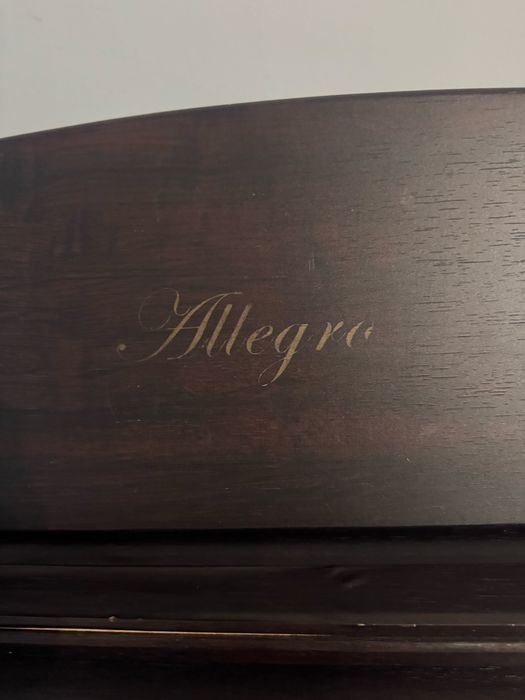 Pian electric  digital  Alegro 8865