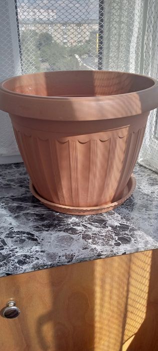 Продам цветочные гошки