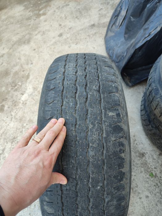 Автомобильная шина