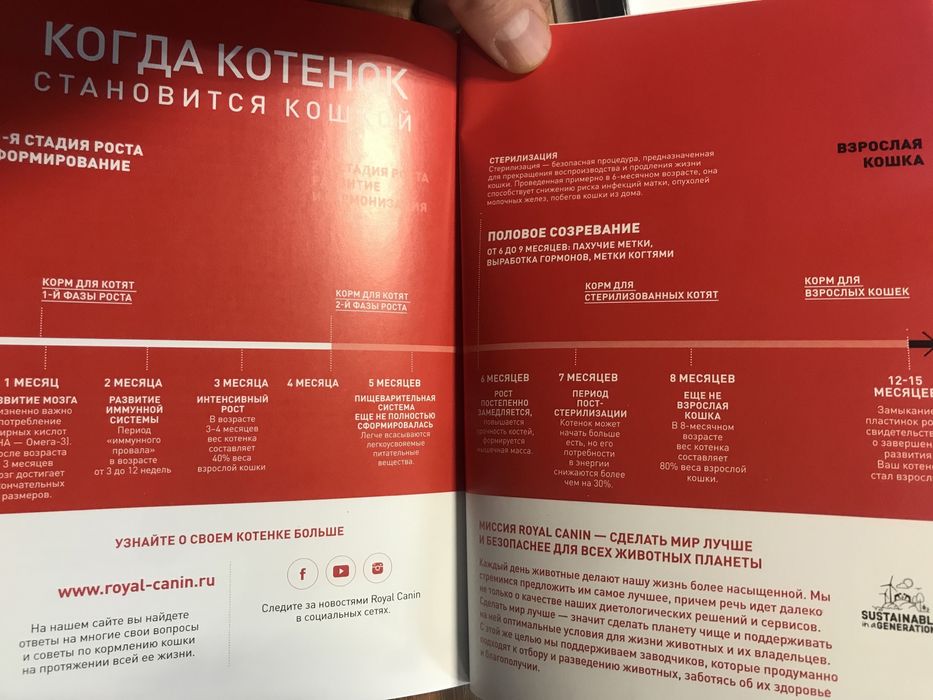 Брошюра «Котёнок в доме» 77 стр.