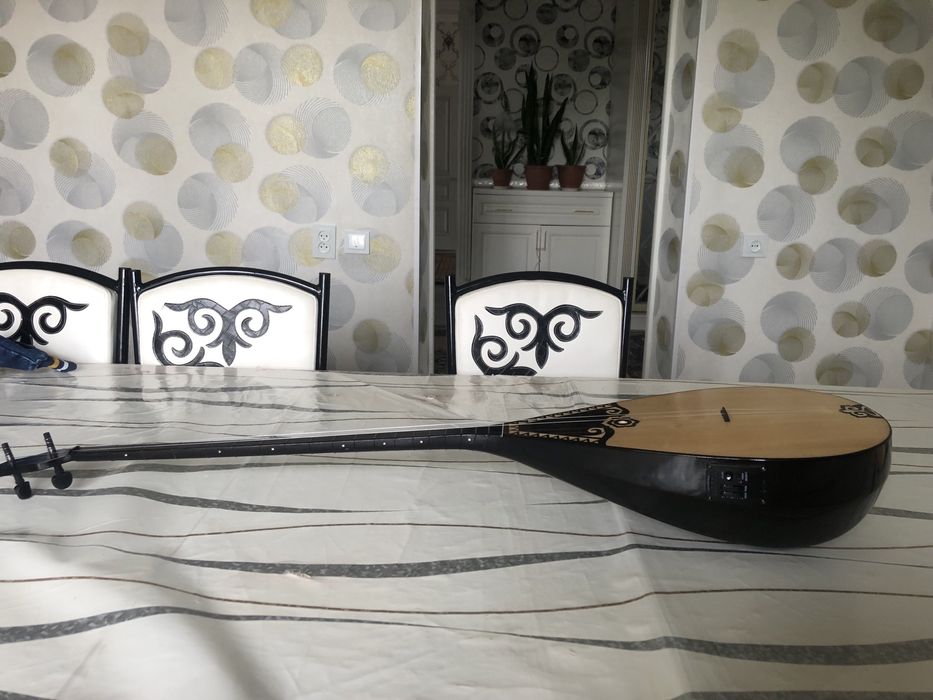 Кәсіби электро домбыра