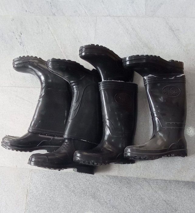 Резиновые сапоги