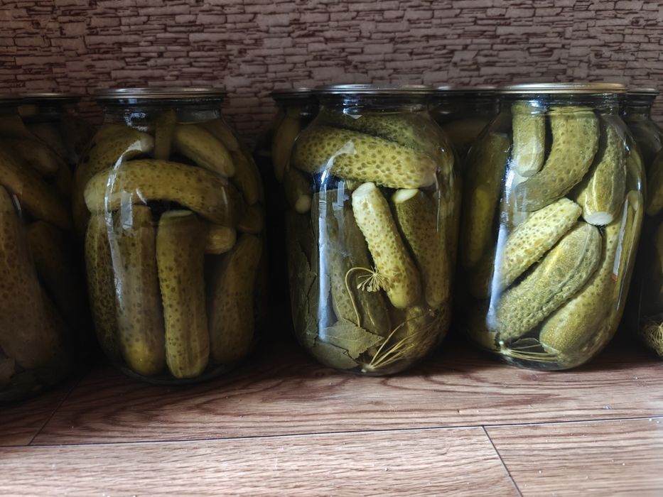 Продам соленые огурцы