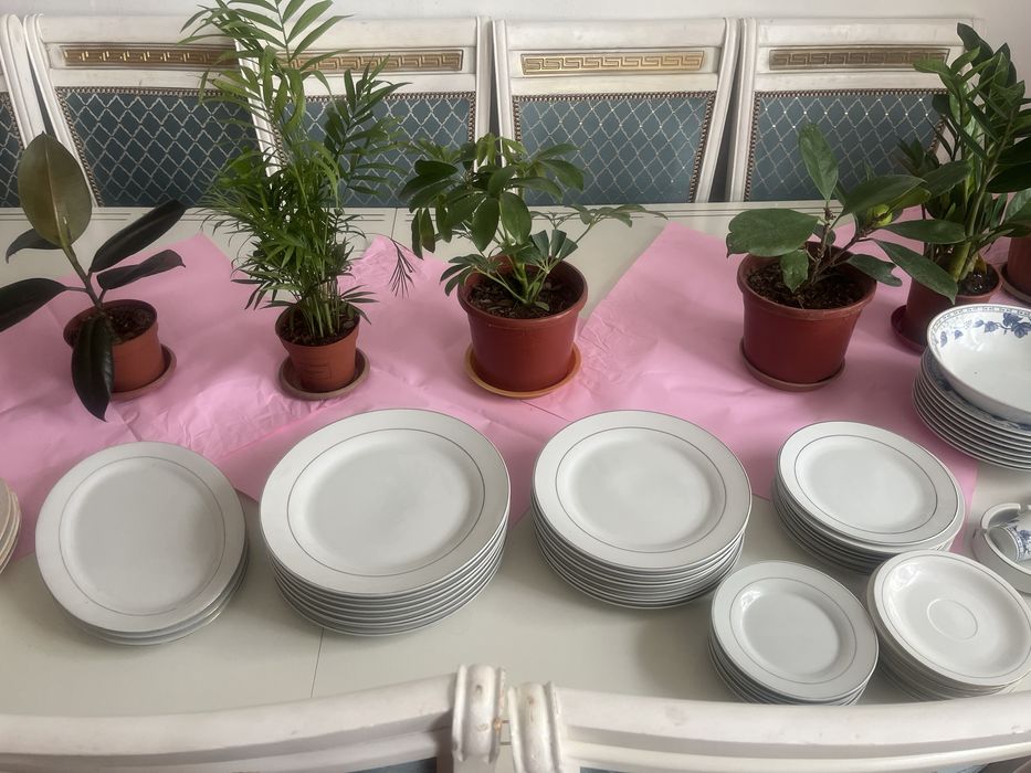 Срочно Тарелки