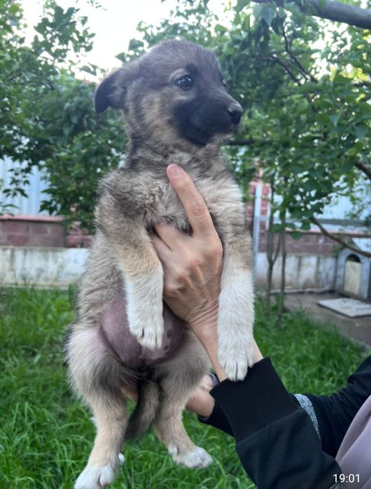 Маленькие ангелочки