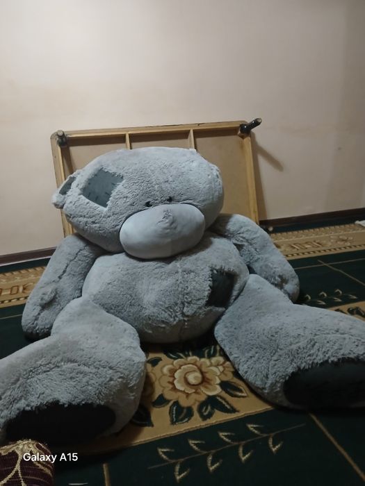 Teydi sotiladi  sfati judazor