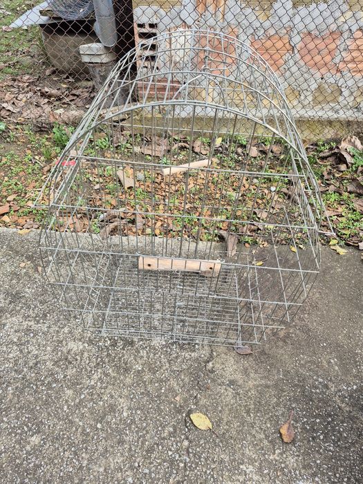 Клетка за папагали