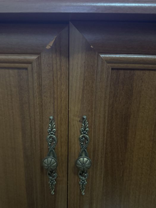 Холна секция гр.Варна