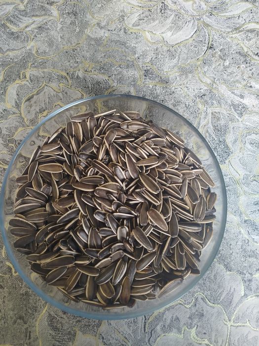 продам семечки  Т6