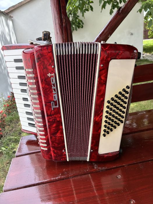 Acordeon Parrot cu 48 de basi