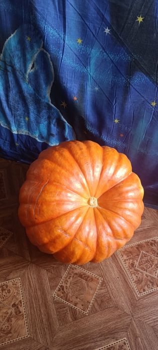 Продам , тыква 10 кг