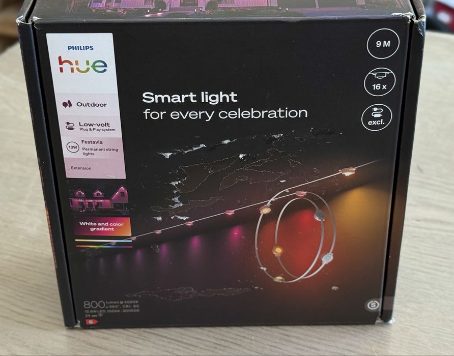 Philips Hue Festavia Permanent Outdoor String Lights Extension