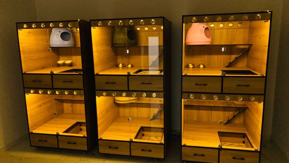 Зоогостиница на Юнусобаде от 100 000 сум/сутки. Заботливая передержка