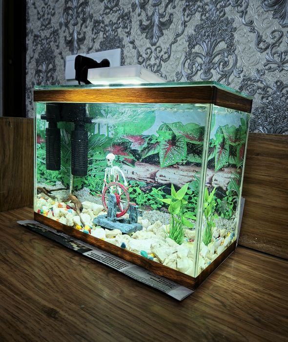Аквариум срочно продам
