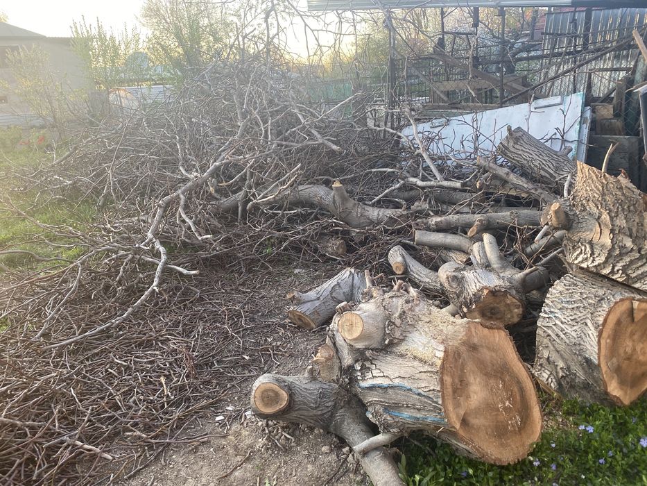 Отдам даром дрова