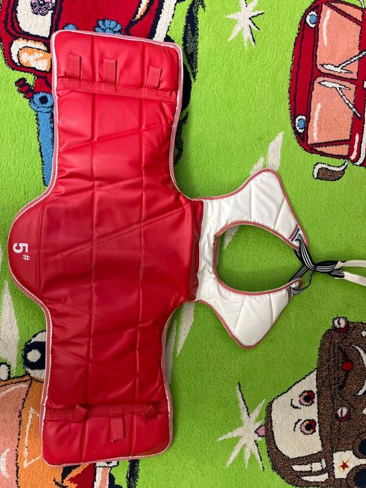 Протектор для тхэквондо