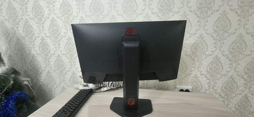 Монитор BenQ Zowie XL2411K