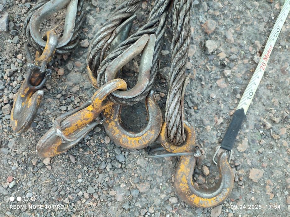 Паук четырех концывой