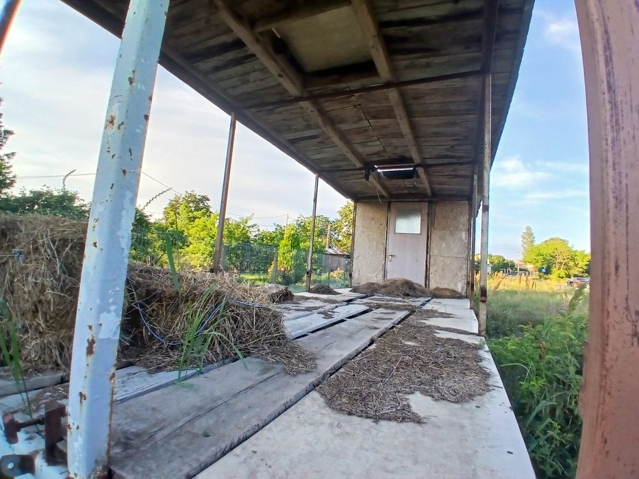 Platforma baloti, Pavilion albine